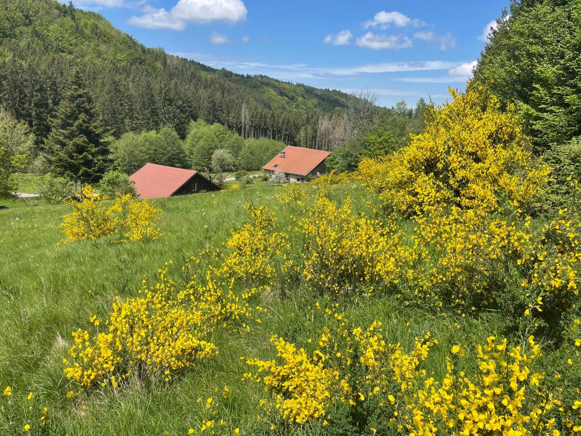 Villa La Hutte Tendon Exterior foto